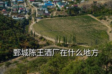 鄄城陳王酒廠在什么地方