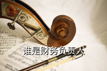 誰是財務(wù)負責人