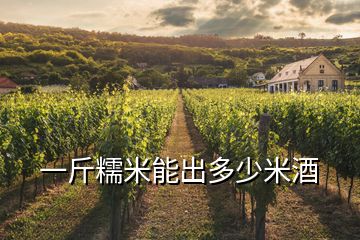 一斤糯米能出多少米酒