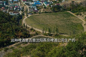 這種啤酒是否是沈陽燕京啤酒公司生產(chǎn)的