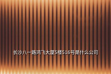 長沙八一路鴻飛大廈5樓516號是什么公司