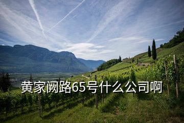 黃家闕路65號(hào)什么公司啊