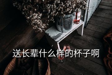 送長(zhǎng)輩什么樣的杯子啊