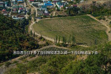 泡白酒當歸下多了當歸味較濃怎么調一下當歸味道壓下去