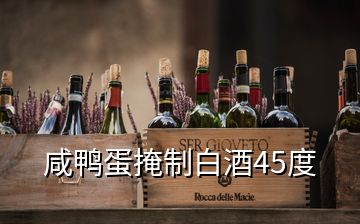 咸鴨蛋掩制白酒45度