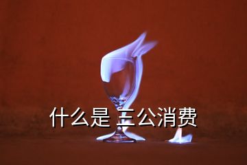 什么是 三公消費(fèi)