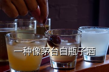 一種像茅臺白瓶子酒