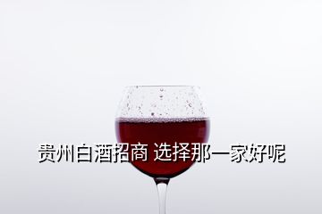 貴州白酒招商 選擇那一家好呢