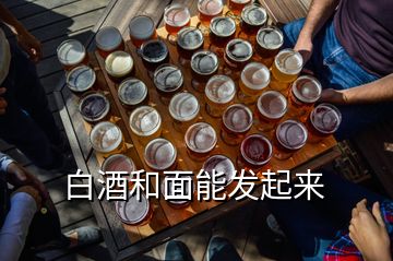 白酒和面能發(fā)起來