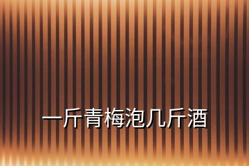 一斤青梅泡幾斤酒