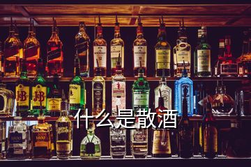 什么是散酒