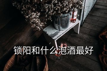 鎖陽(yáng)和什么泡酒最好