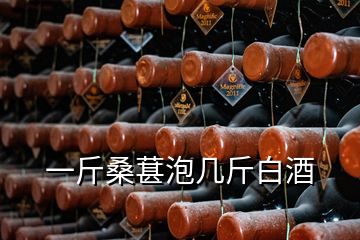 一斤桑葚泡幾斤白酒