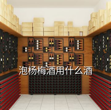 泡楊梅酒用什么酒