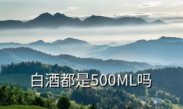 白酒都是500ML嗎