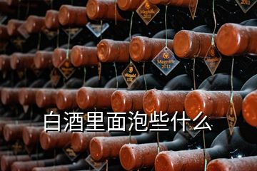 白酒里面泡些什么