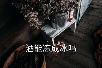 酒能凍成冰嗎