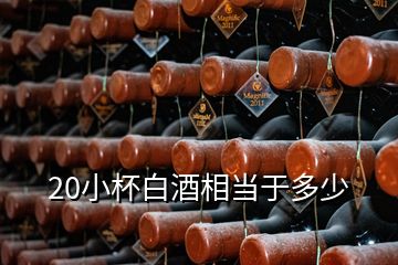 20小杯白酒相當于多少