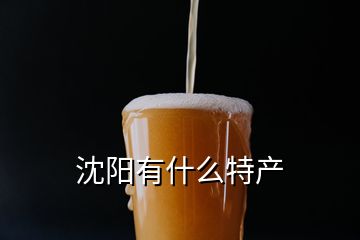 沈陽(yáng)有什么特產(chǎn)