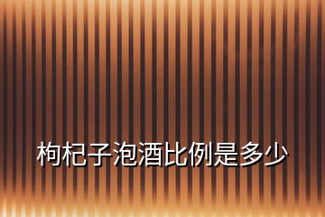 枸杞子泡酒比例是多少