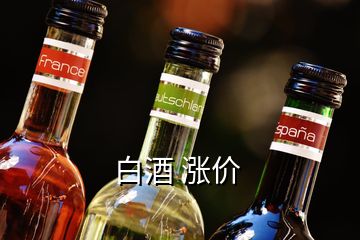 白酒 漲價(jià)