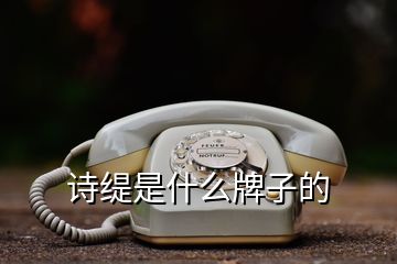 詩(shī)緹是什么牌子的