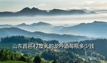 山東昌邑42度天韻龍吟酒每瓶多少錢