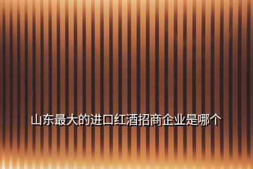 山東最大的進(jìn)口紅酒招商企業(yè)是哪個(gè)