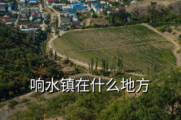 響水鎮(zhèn)在什么地方