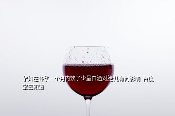 孕婦在懷孕一個(gè)月內(nèi)飲了少量白酒對(duì)胎兒有何影響  百度寶寶知道