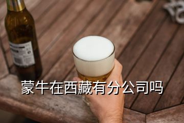 蒙牛在西藏有分公司嗎