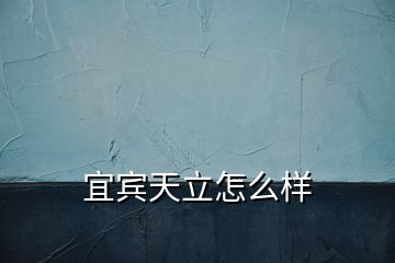 宜賓天立怎么樣