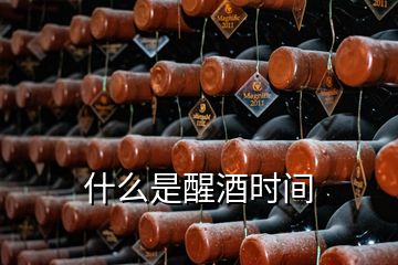 什么是醒酒時(shí)間