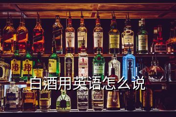 白酒用英語怎么說