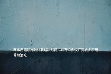 商務(wù)用酒哪比較好我過段時間廣州有個會議開完會大家用葡萄酒吃