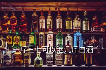 一斤三七可以泡幾斤白酒