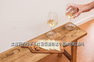 黑碧莉西拉子干紅葡萄酒有這個品牌的紅酒嗎