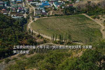 土膏欲動雨頻催 萬草千花一餉開舍后荒畦猶綠秀 鄰家鞭筍過墻來是