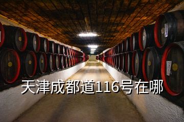 天津成都道116號(hào)在哪