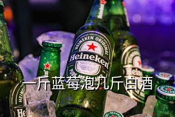 一斤藍莓泡幾斤白酒