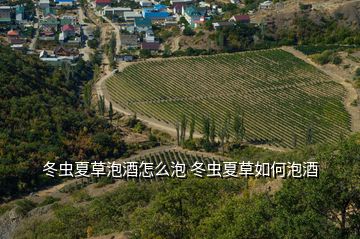 冬蟲夏草泡酒怎么泡 冬蟲夏草如何泡酒