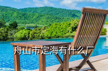 舟山市定海有什么廠