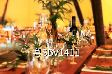 粵SBV1411