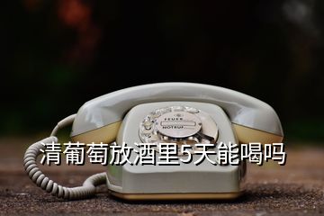 清葡萄放酒里5天能喝嗎