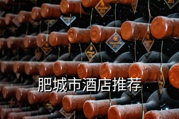 肥城市酒店推薦