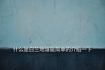 什么是白蘭地誰(shuí)能簡(jiǎn)單的介紹一下