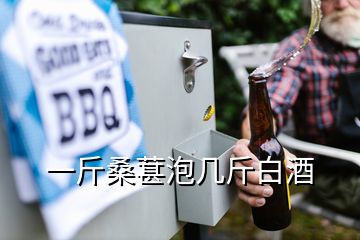 一斤桑葚泡幾斤白酒