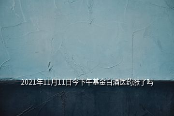 2021年11月11日今下午基金白酒醫(yī)藥漲了嗎