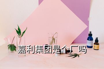 嘉利集團是個廠嗎