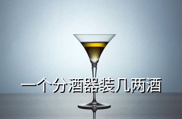 一個(gè)分酒器裝幾兩酒